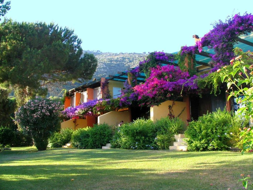 Residence Helios Cargèse Kültér fotó